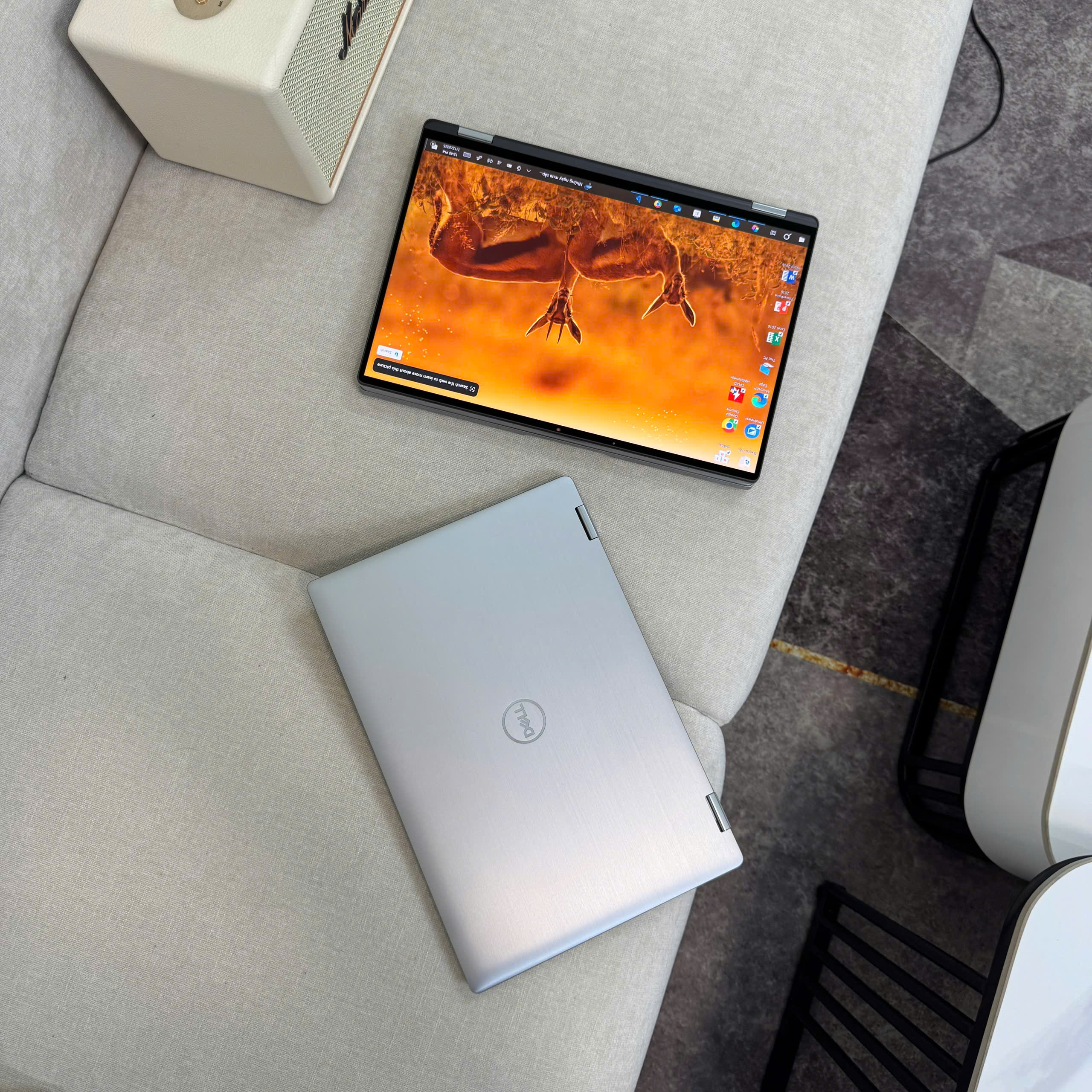 z6798870511408_8033a78f3d99a701e8276d442b04cb4a